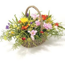 Basket Mixed Freesias
