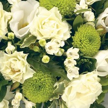 Posy  Green and White