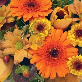 Florists Choice Handtie Oranges and Golds